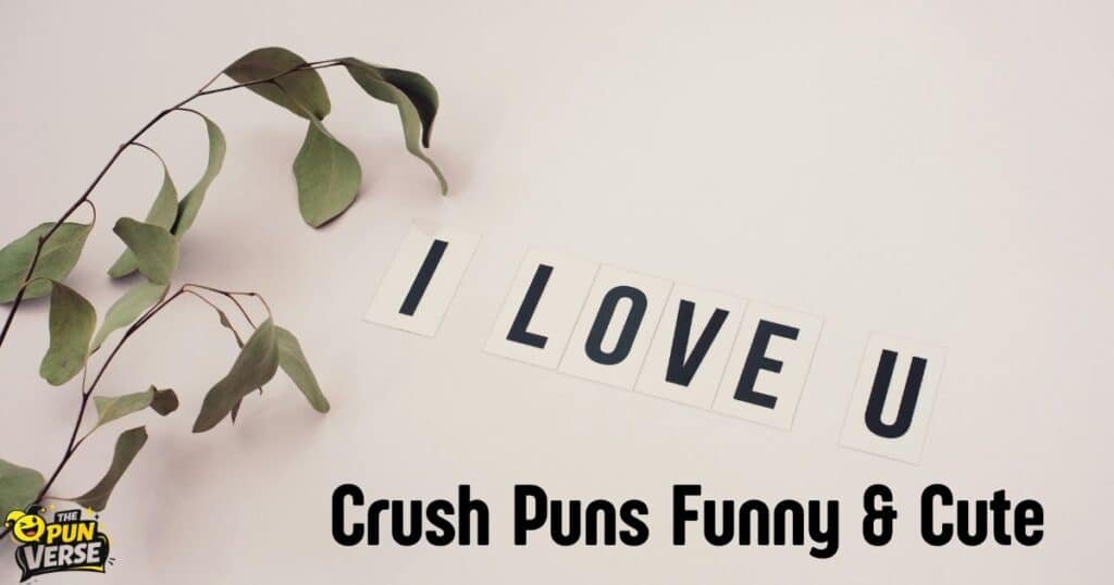 120+ Crush Puns Funny & Cute Enough to Break the Ice instantly! ππ₯β€οΈ