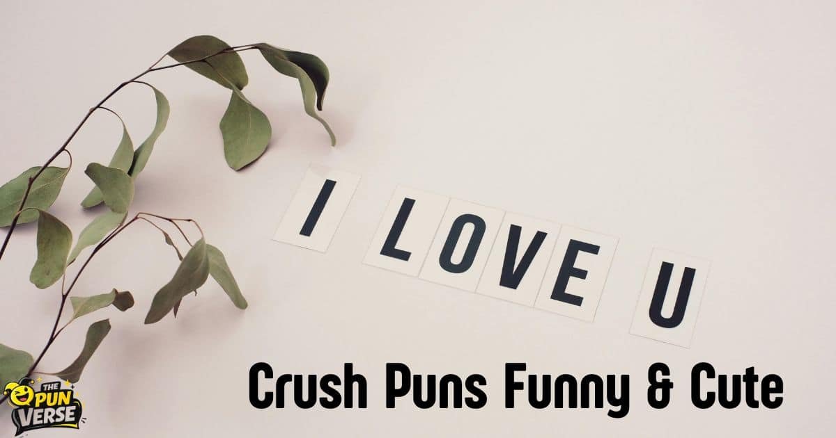 120+ Crush Puns Funny & Cute Enough to Break the Ice instantly! 😂🔥❤️