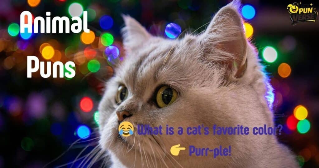 150+ Animal Puns Funny Enough to Make You Howl ππ₯β€οΈ