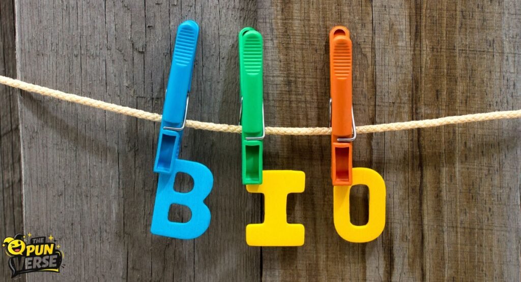 How to Write the Perfect Instagram Bio: 150+ Viral & Cute Ideas ๐๐ฅโค๏ธ