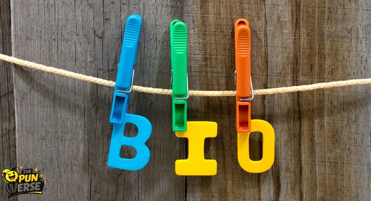 How to Write the Perfect Instagram Bio: 150+ Viral & Cute Ideas ๐๐ฅโค๏ธ