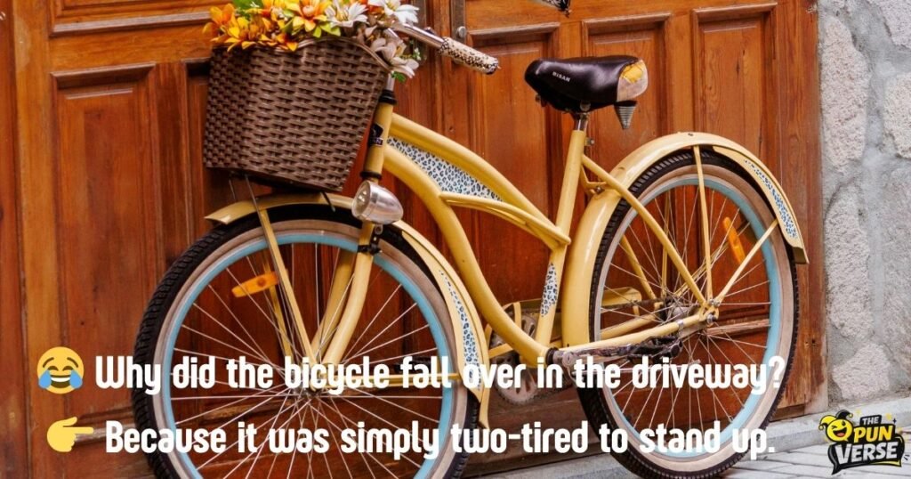 Certified Crowd-Pleasers: Hilarious Puns & Visual Gags