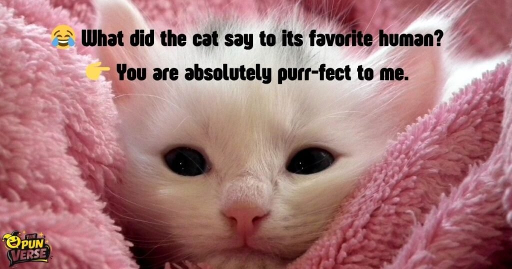 Purr-fect Animal Puns for Creative Greetings
